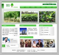 “綠水青山”林業(yè)開發(fā)網(wǎng)站頁面設(shè)計(jì)與開發(fā)實(shí)戰(zhàn)指南